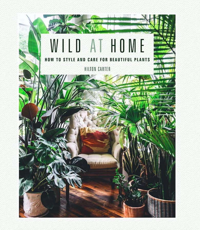 Wild at Home: How to Style and Care for Beautiful Plants