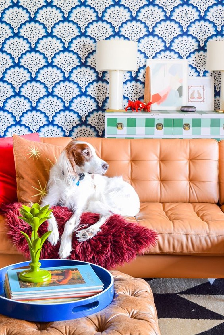 A brown and white dog sits in a maximalist living room with caramel leather sofa