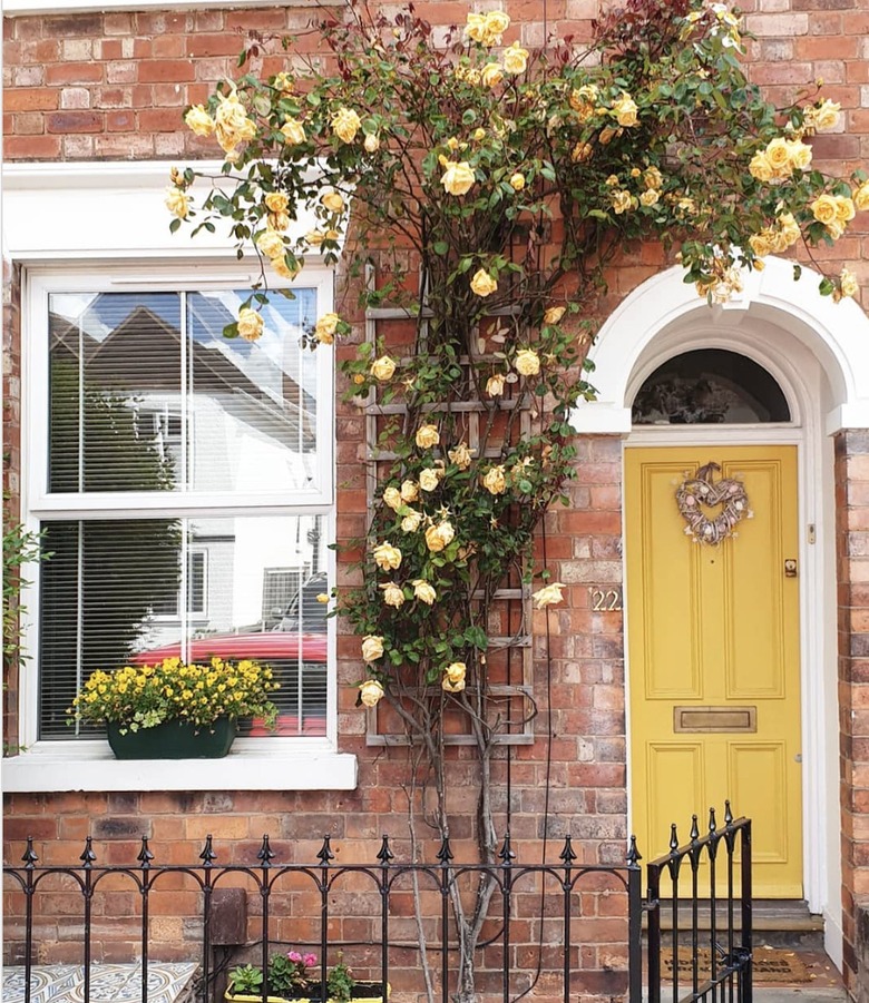 Brick house with yellow door