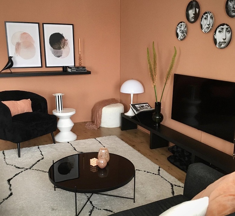 terra cotta living room with black and white accents