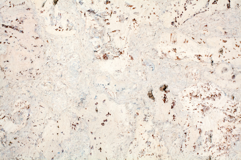 Light beige surface of the cork wood tile closeup