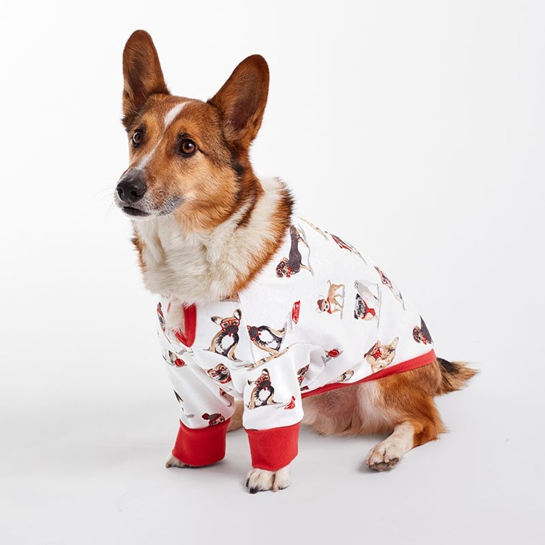 The Company Store dog pajamas