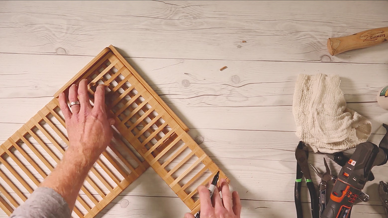 Measuring size of cup rack