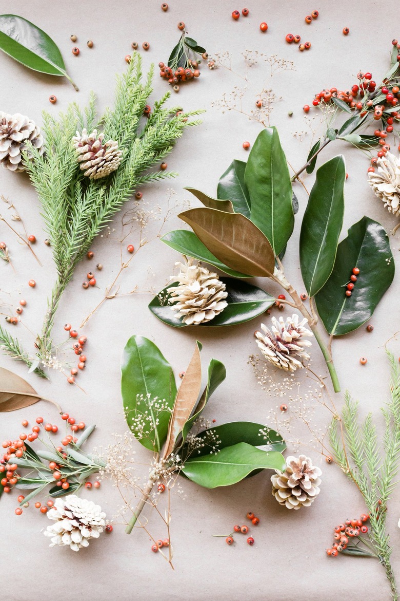 Live plants and berries for winter centerpiece