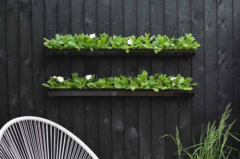 Black rain gutter garden.