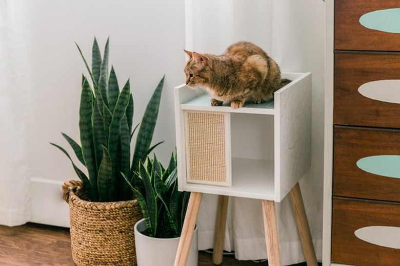 IKEA cat house with wood legs and cat sitting on top.