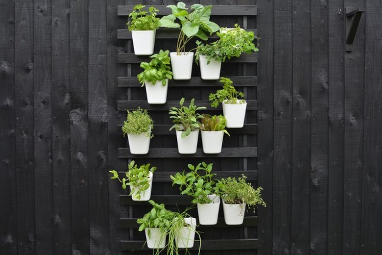 Vertical garden