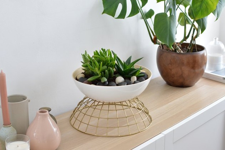 IKEA bowls made into a planter for plants.
