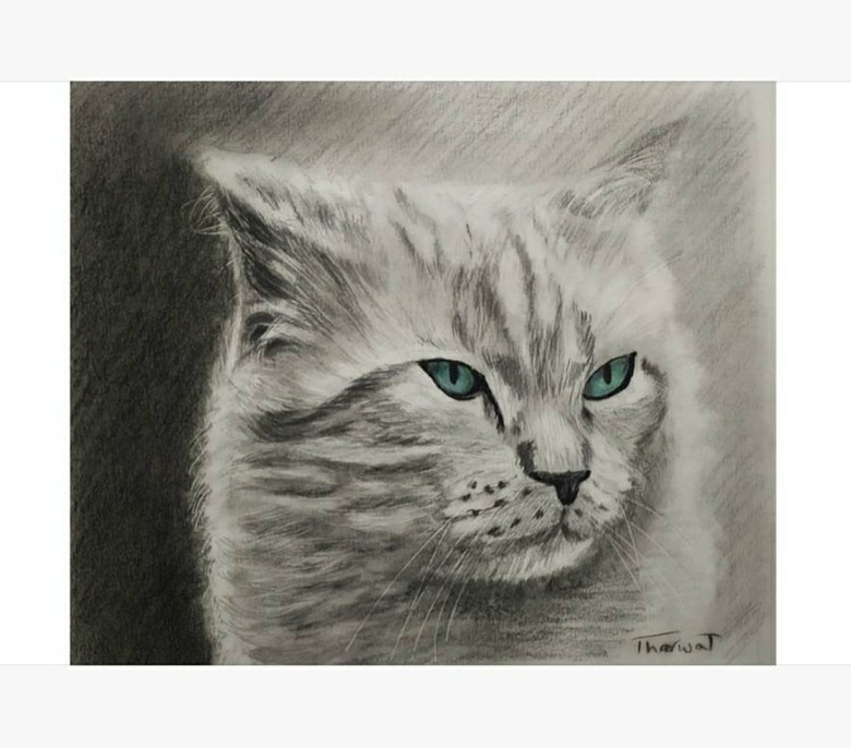 Hand-drawn portrait of a cat