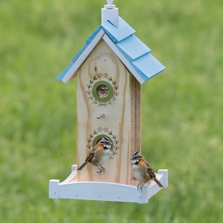 Chewy bird feeders best sale