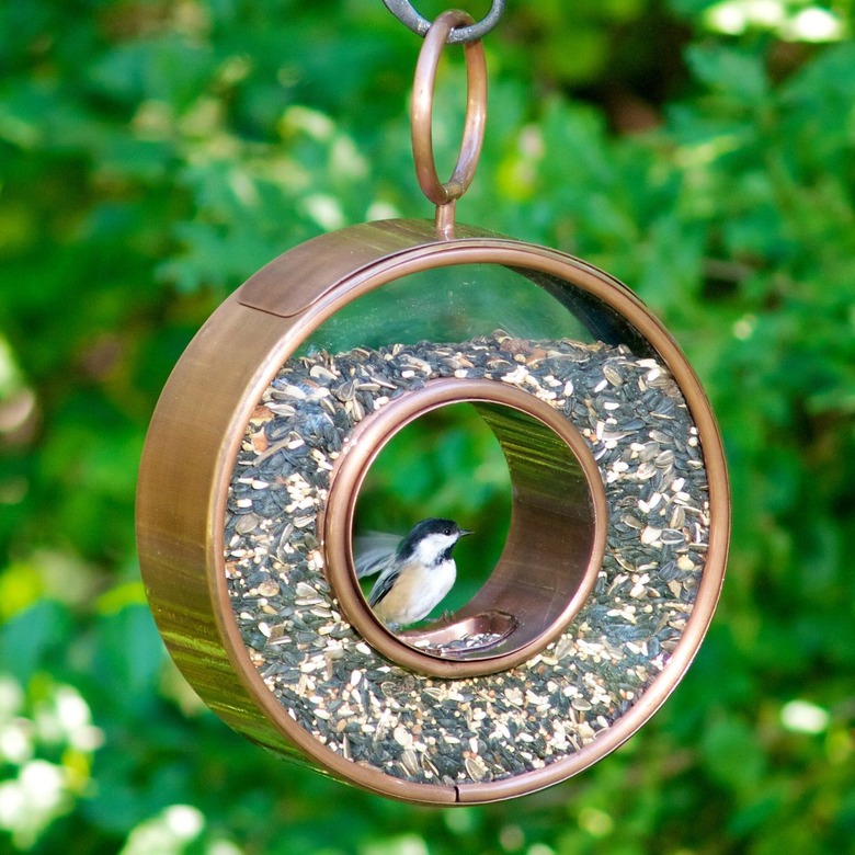 Red Barrel Studio Barlitt Circle Fly-Thru Decorative Bird Feeder