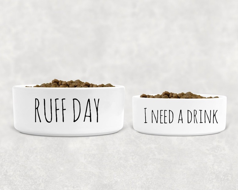 Pet food and water bowls