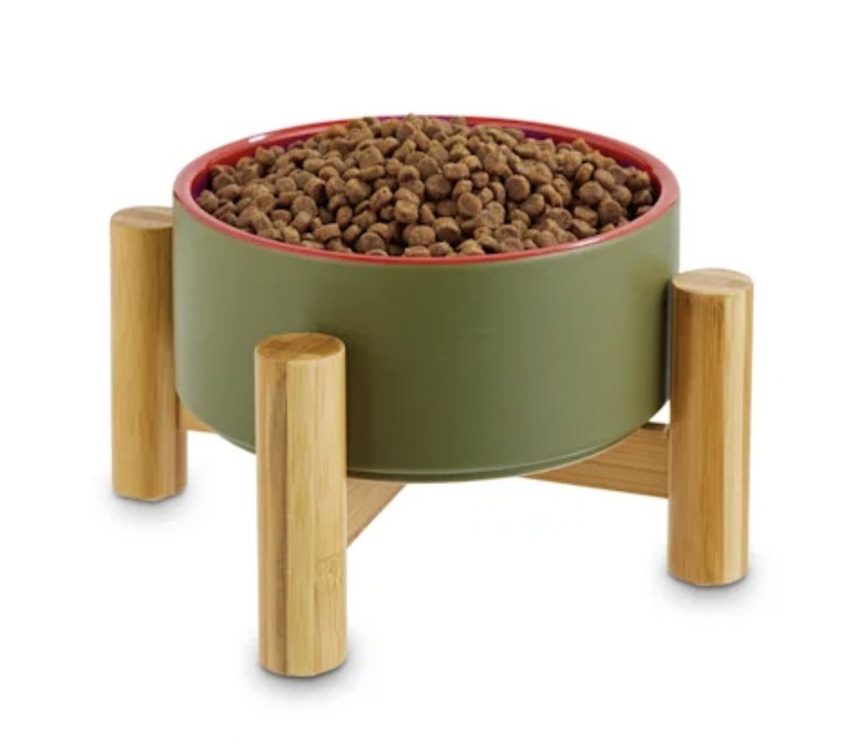 Green and red elevated pet bowl