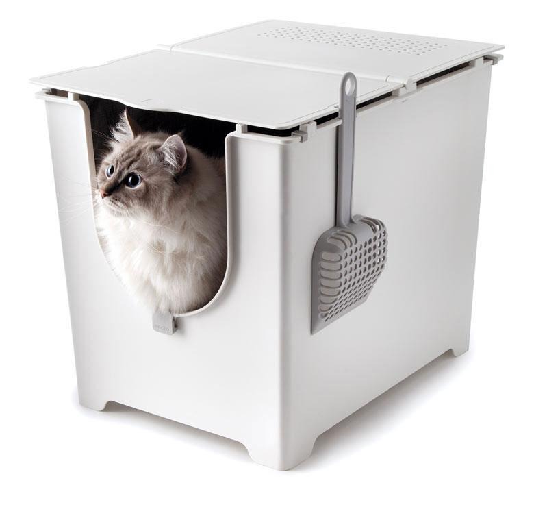 flip lid litter box