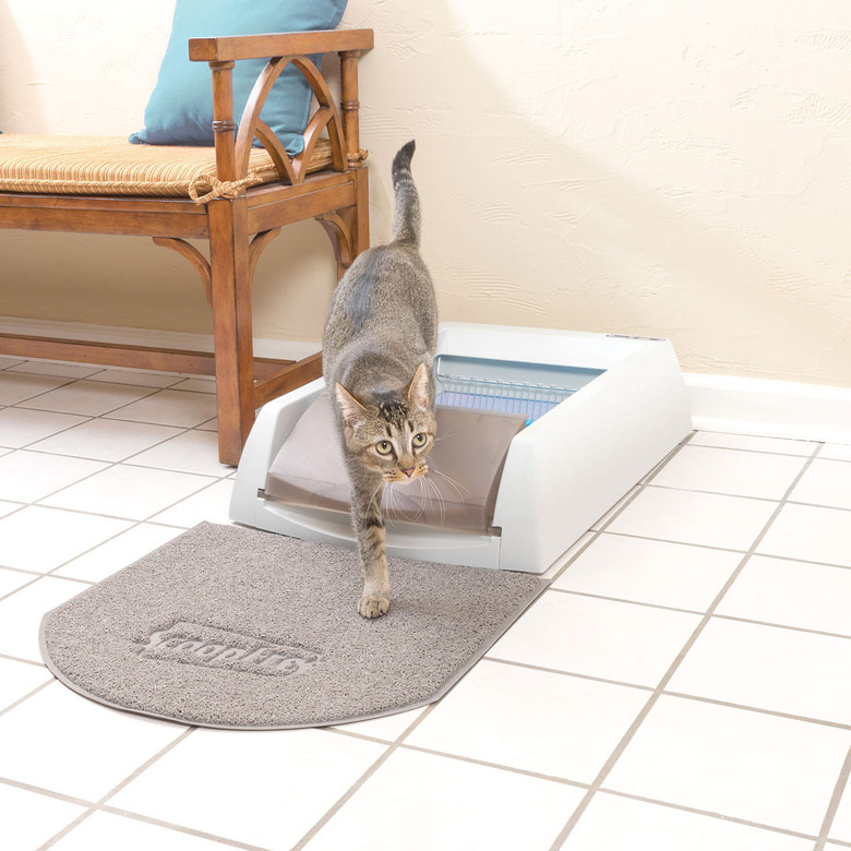 self cleaning litter box