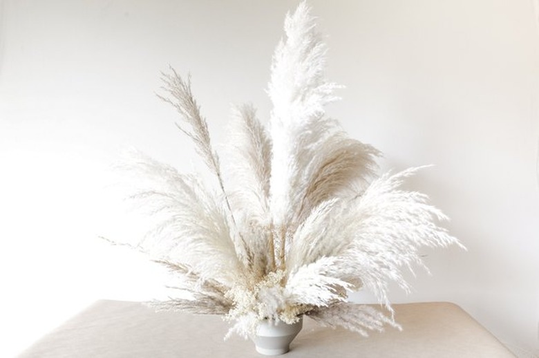 Pampas grass arrangement