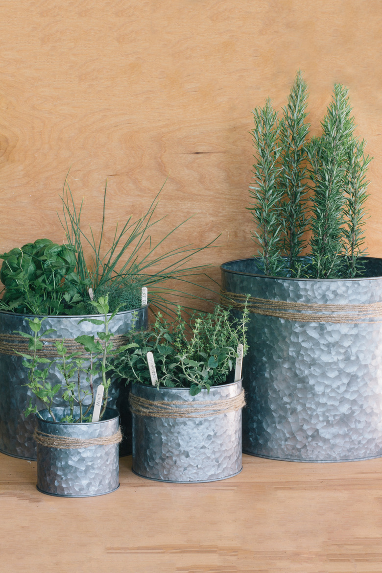 DIY Herb Garden for Your Patio
