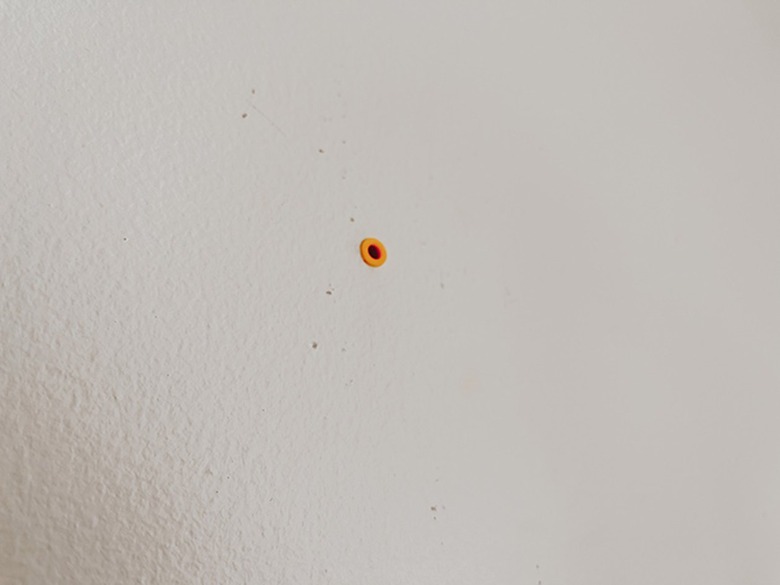 Install wall anchors in the drywall.