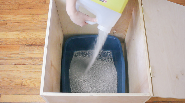 Pouring litter into litter pan inside plywood box