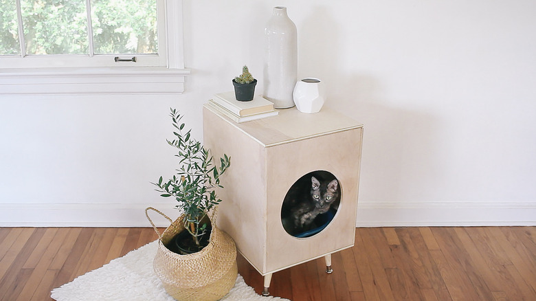 Cat inside modern plywood litter box hider
