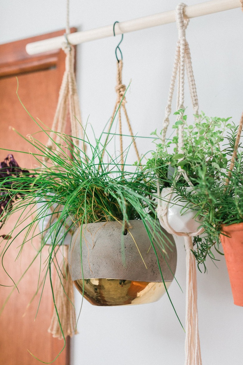 Hanging herb plants with rope and s-hooks by wood door