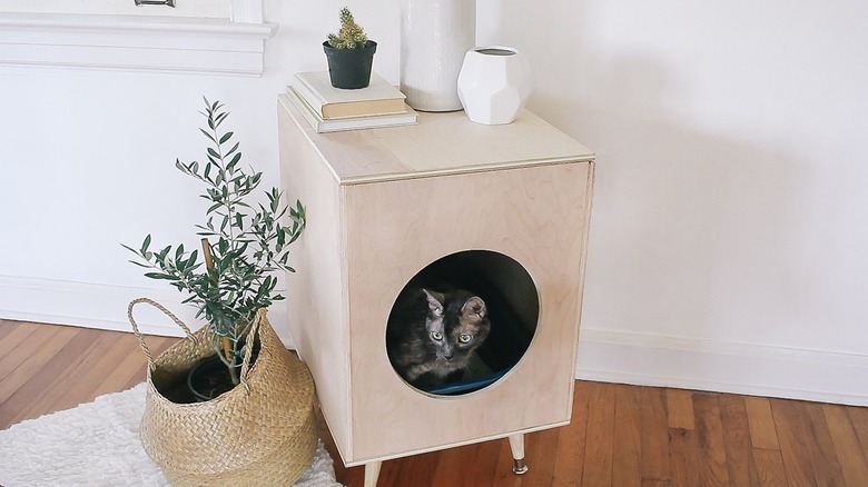 a cat pokes its head out of a plywood box on angled mid-century legs that hides a litter box and doubles as an end table