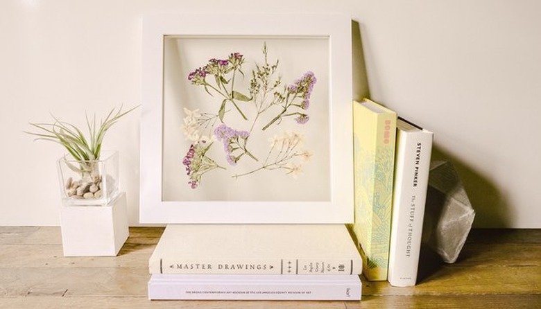 Framed Pressed Flower
