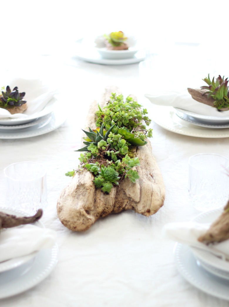 Succulent driftwood planter centerpiece on a table