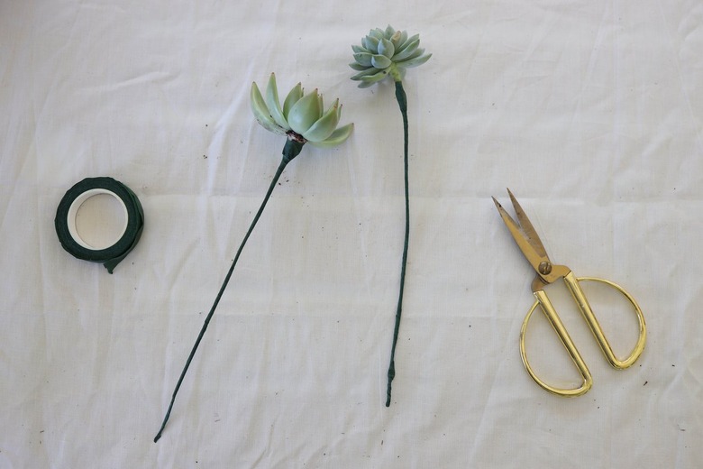 Two succulents with wire stems attached