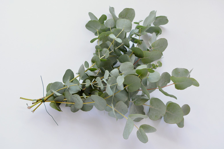 DIY eucalyptus runner