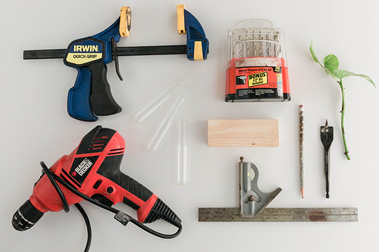 Here's what you'll need to make your own DIY wood and glass plant propagation stands.