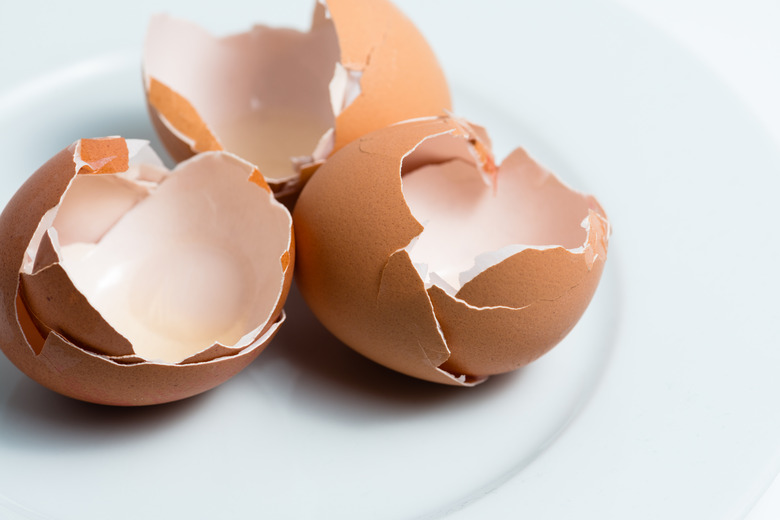 Do Eggshells Sharpen a Garbage Disposal? Hunker