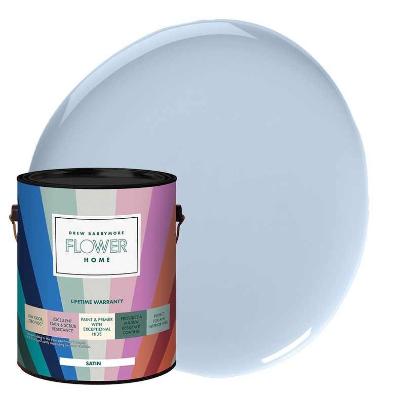 Flower Home Paint in Sitting Room Blue