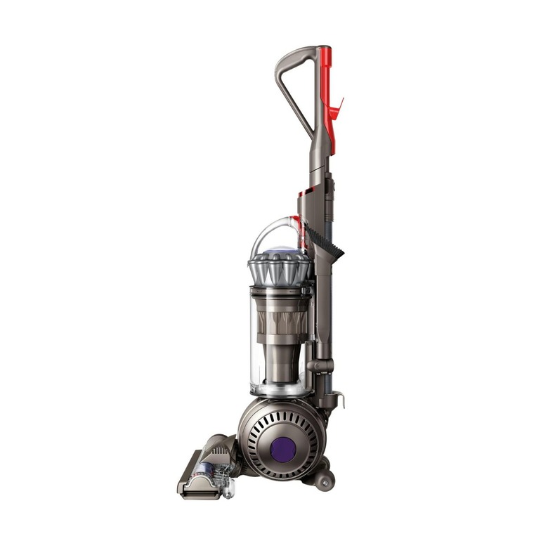 Dyson Ball Animal 2