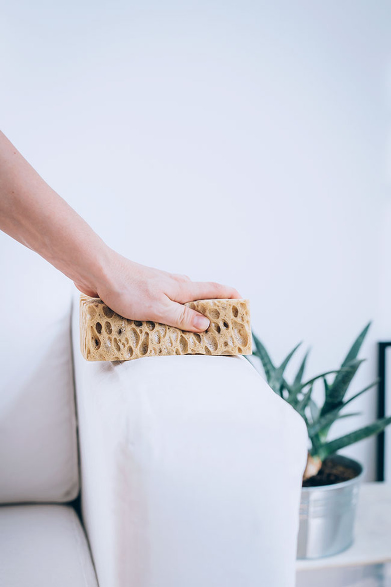 How to remove pet hair with a sponge