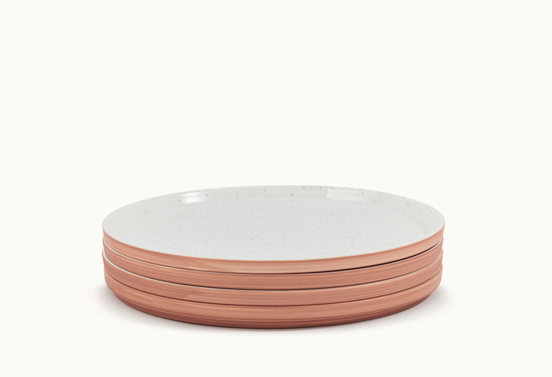 terra cotta-rimmed plate set