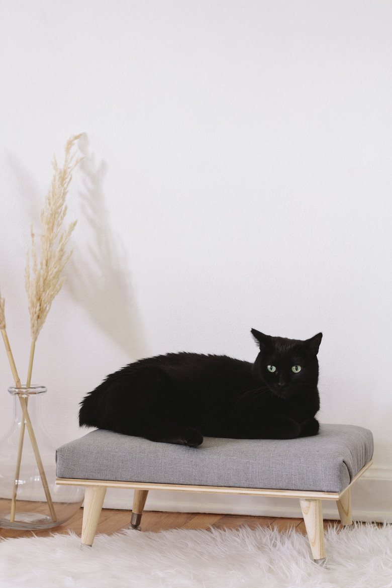 DIY minimal Scandinavian cat daybed