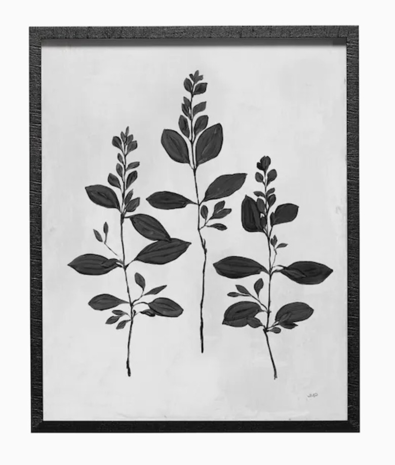 Botanical Study in Black Frame