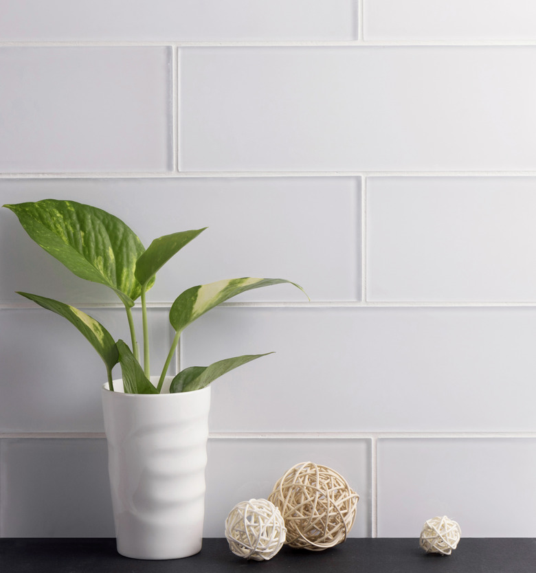 WS Tiles Premium Series Individual 4 x 12 Glass Subway Tile in White