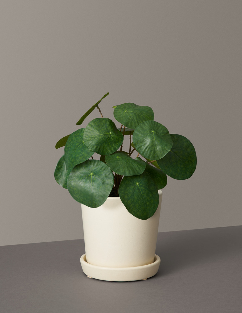 faux plant in cream planter