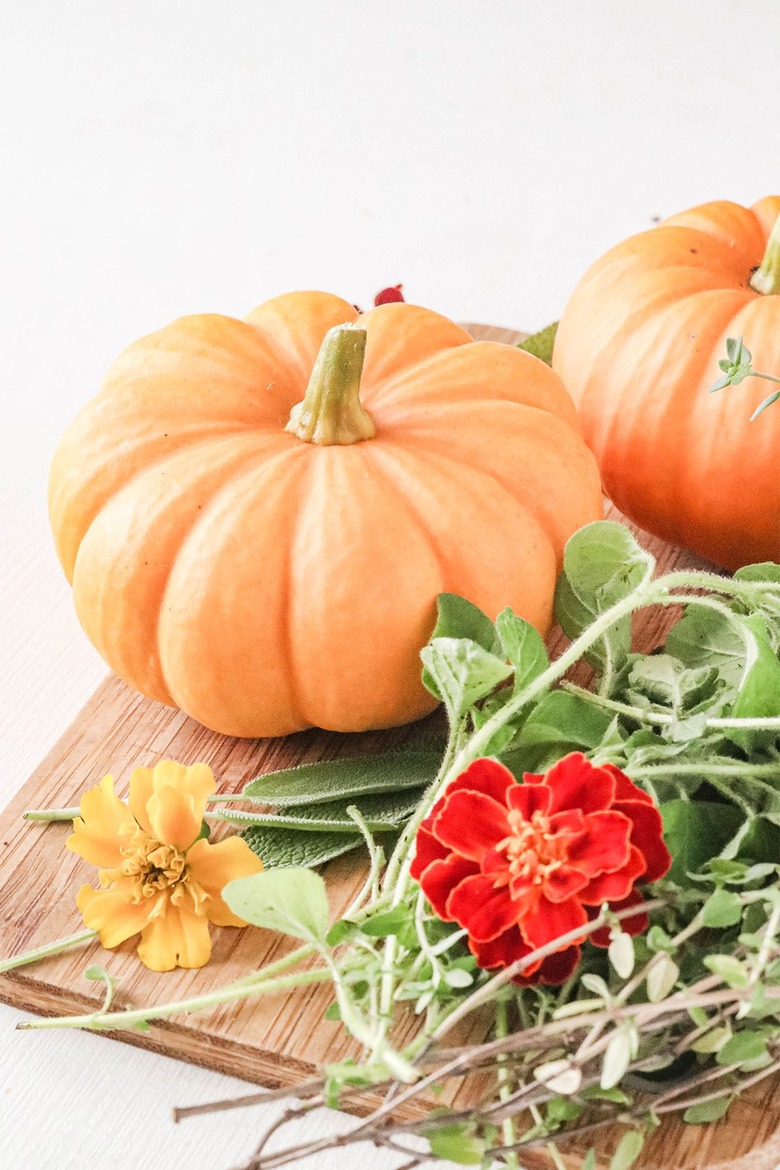 Mini pumpkins with flowers and herbs