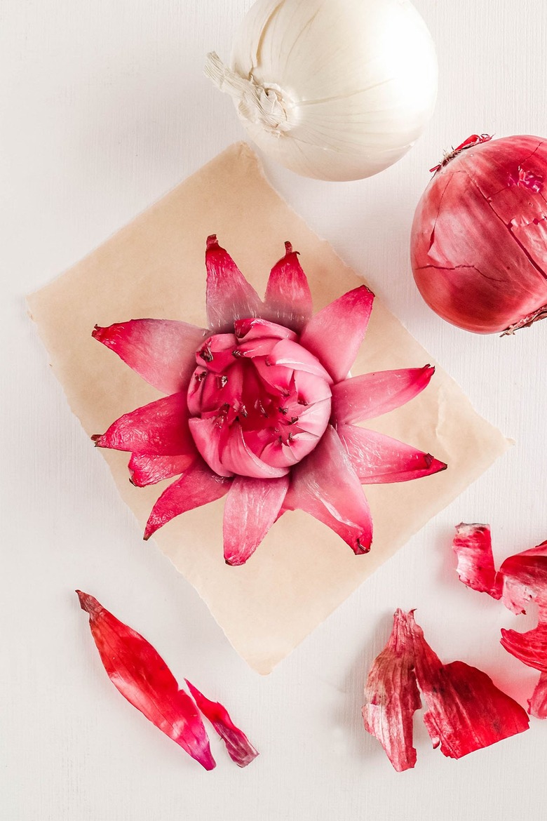 Blooming onion flowers