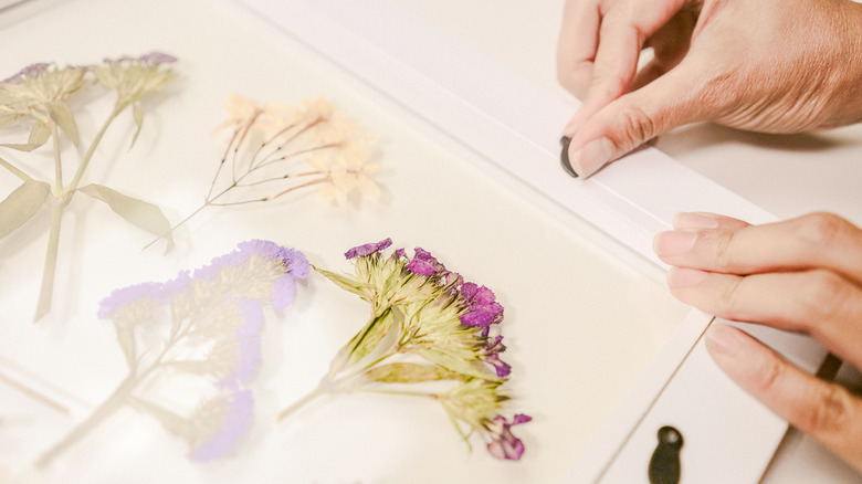 Framed Pressed Flowers DIY