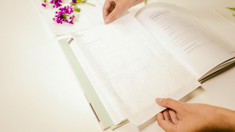 Framed Pressed Flowers DIY