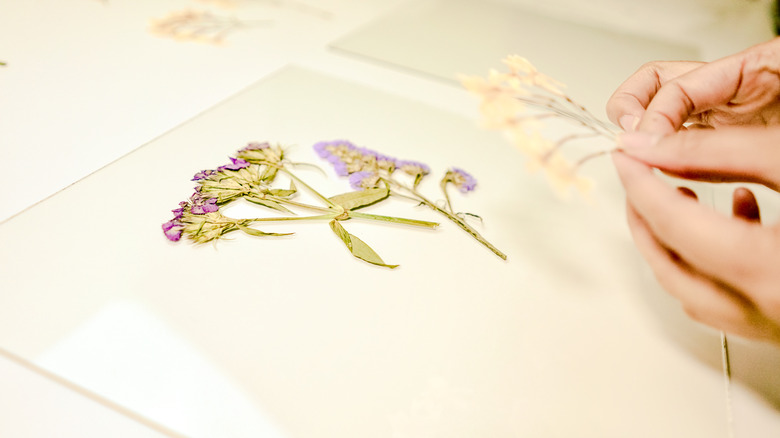 Framed Pressed Flowers DIY