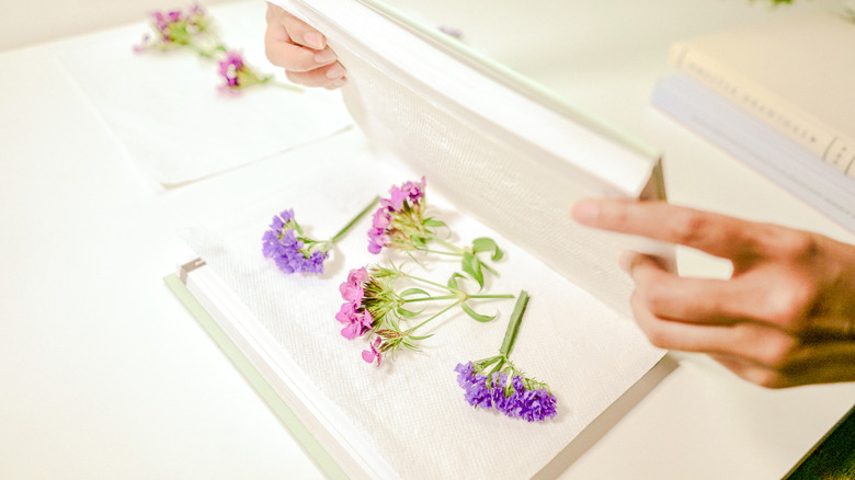 Framed Pressed Flowers DIY