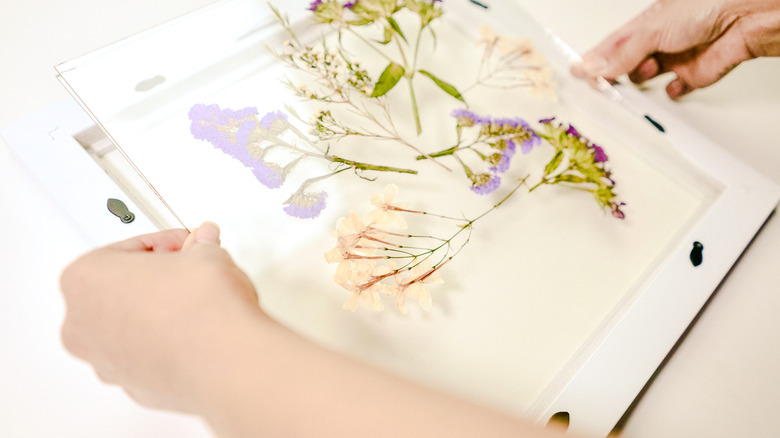 Framed Pressed Flowers DIY