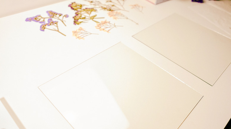 Framed Pressed Flowers DIY