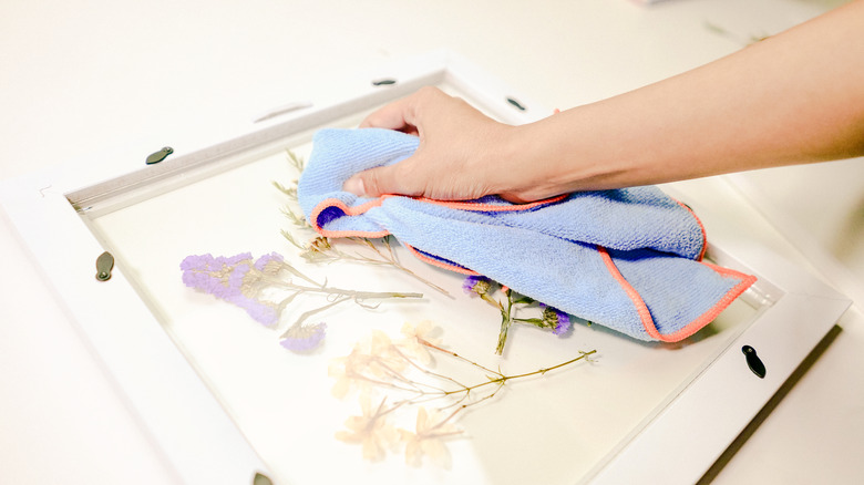 Framed Pressed Flowers DIY