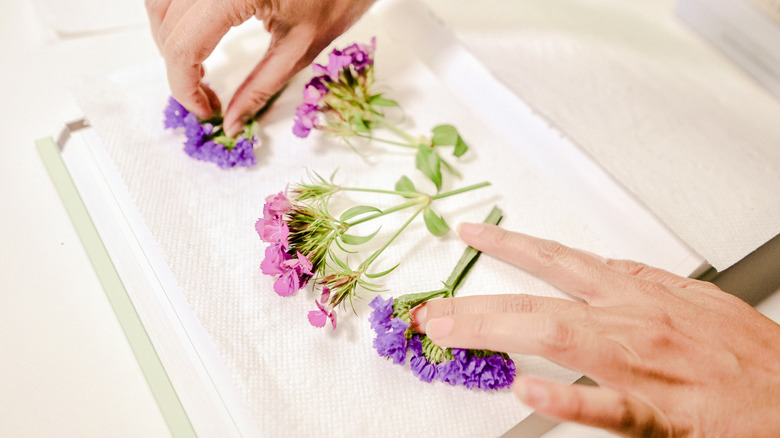 Framed Pressed Flowers DIY